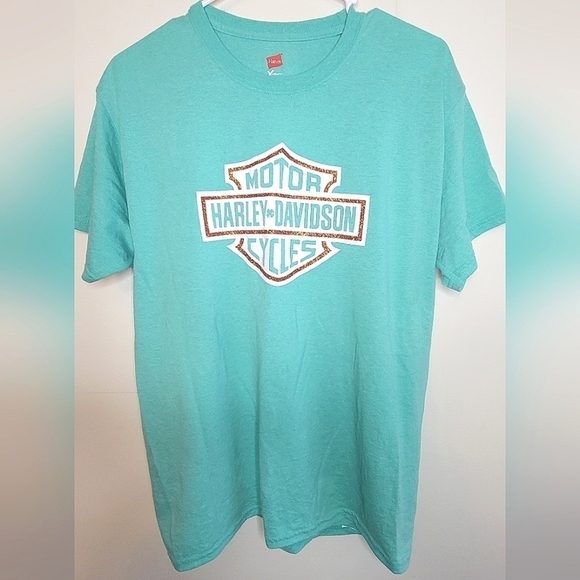 Harley Davidson Screen Printed Glitter Graphic On Hanes T-shirt, Size Medium - Picture 1 of 3